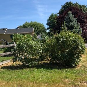 Meet your Posher, Kandace